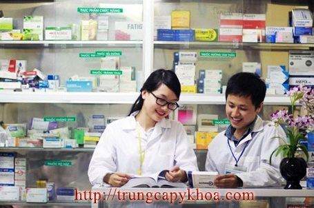 [Image: trung%20cap%20duoc.jpg]