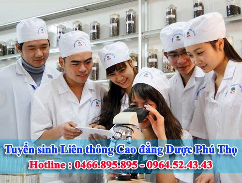 lien thong cao dang duoc phu tho lien thong cao dang duoc phu tho