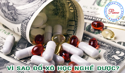 vì sao đổ xô đi học nghề trình dược viên
