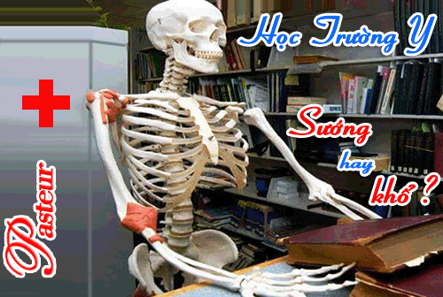 học ngành y sướng hay khổ?