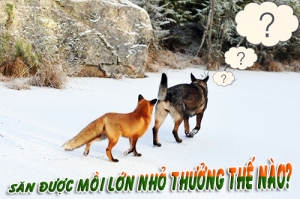 lương thưởng seo hà nội