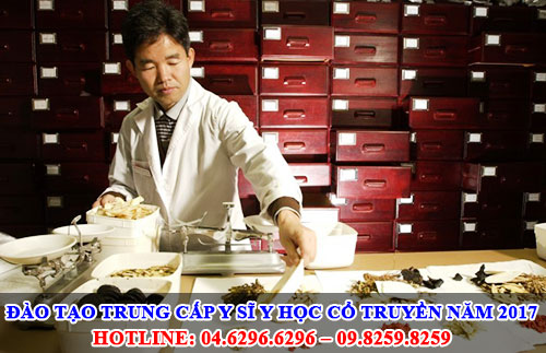 Đào tạo Trung cấp Y sĩ Y học cổ truyền năm 2017