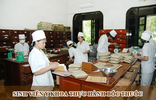 Sinh viên Y khoa thực hành bốc thuốc